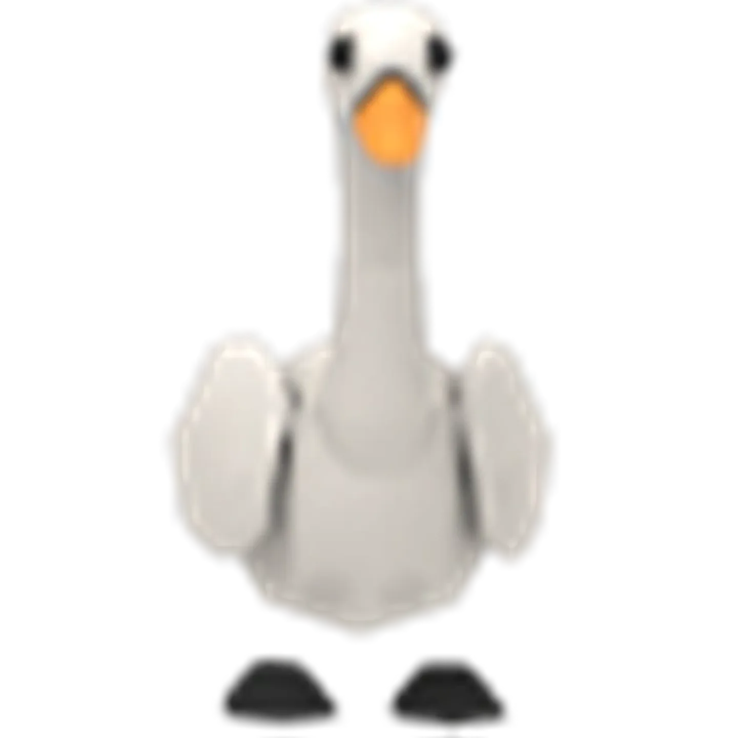 Swan