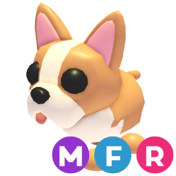 French Bulldog MFR