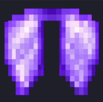 Elytra DonutSmp 🪽