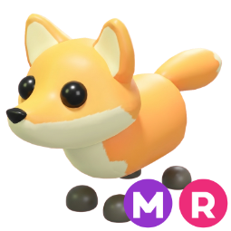 Red Fox MR
