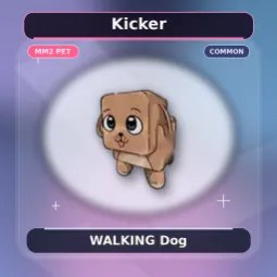 Dog Pet
