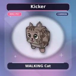 Cat Pet