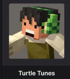🔹TURTLE TUNES🔹