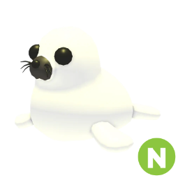Harp Seal N