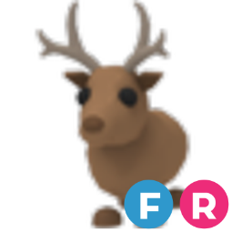 Reindeer FR