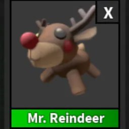 Mr. Reindeer Pet