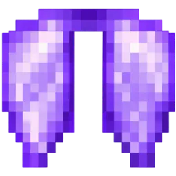 Elytra DonutSmp 🪽