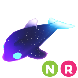 Glormy Dolphin NR