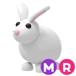 Rabbit MR