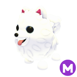 Samoyed M