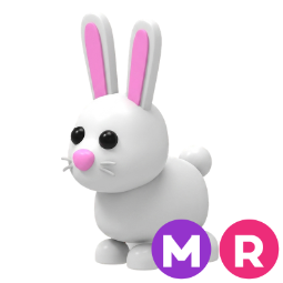 Bunny MR
