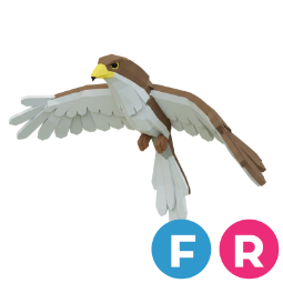 Hawk FR