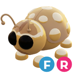 Golden Ladybug FR
