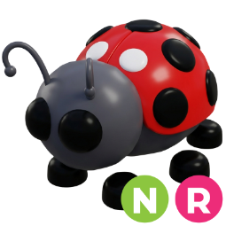 Ladybug NR