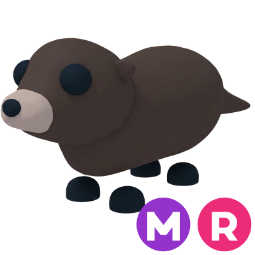 Otter MR