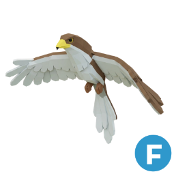 Hawk F