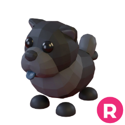 Black Chow-Chow R