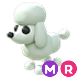 Poodle MR