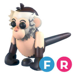 Capuchin Monkey FR