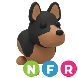 Australian Kelpie NFR