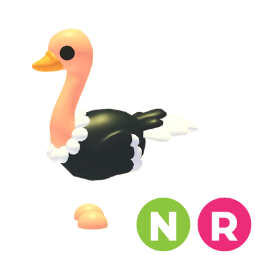 Ostrich NR