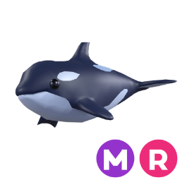 Orca MR