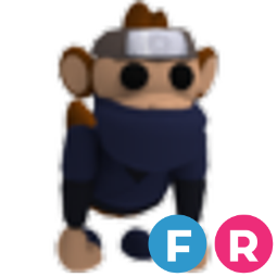 Ninja Monkey FR