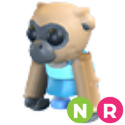 Influencer Gibbon NR
