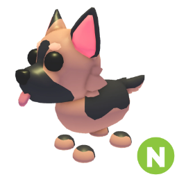 German Shepherd N