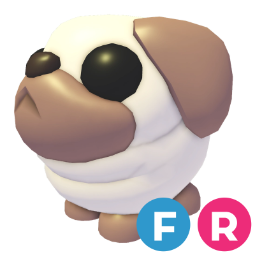 Snowball Pug FR