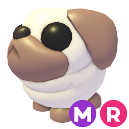 Snowball Pug MR