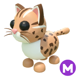 Leopard Cat M
