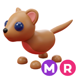 Fossa MR