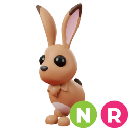 Hare NR