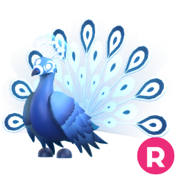 Moonbeam Peacock R