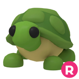 Turtle R