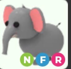 NFR Elephant - Adopt Me