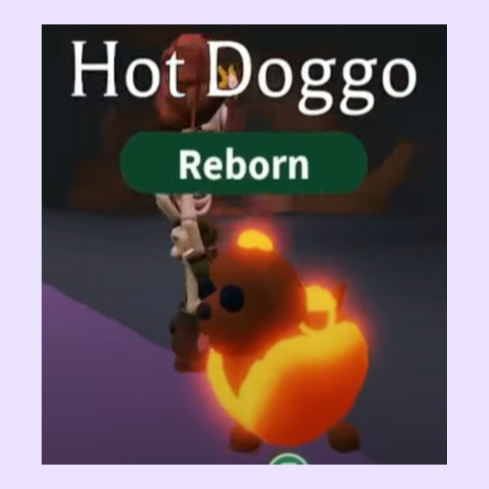 Neon Ride Hot Doggo | Adopt Me | Fast Delivery