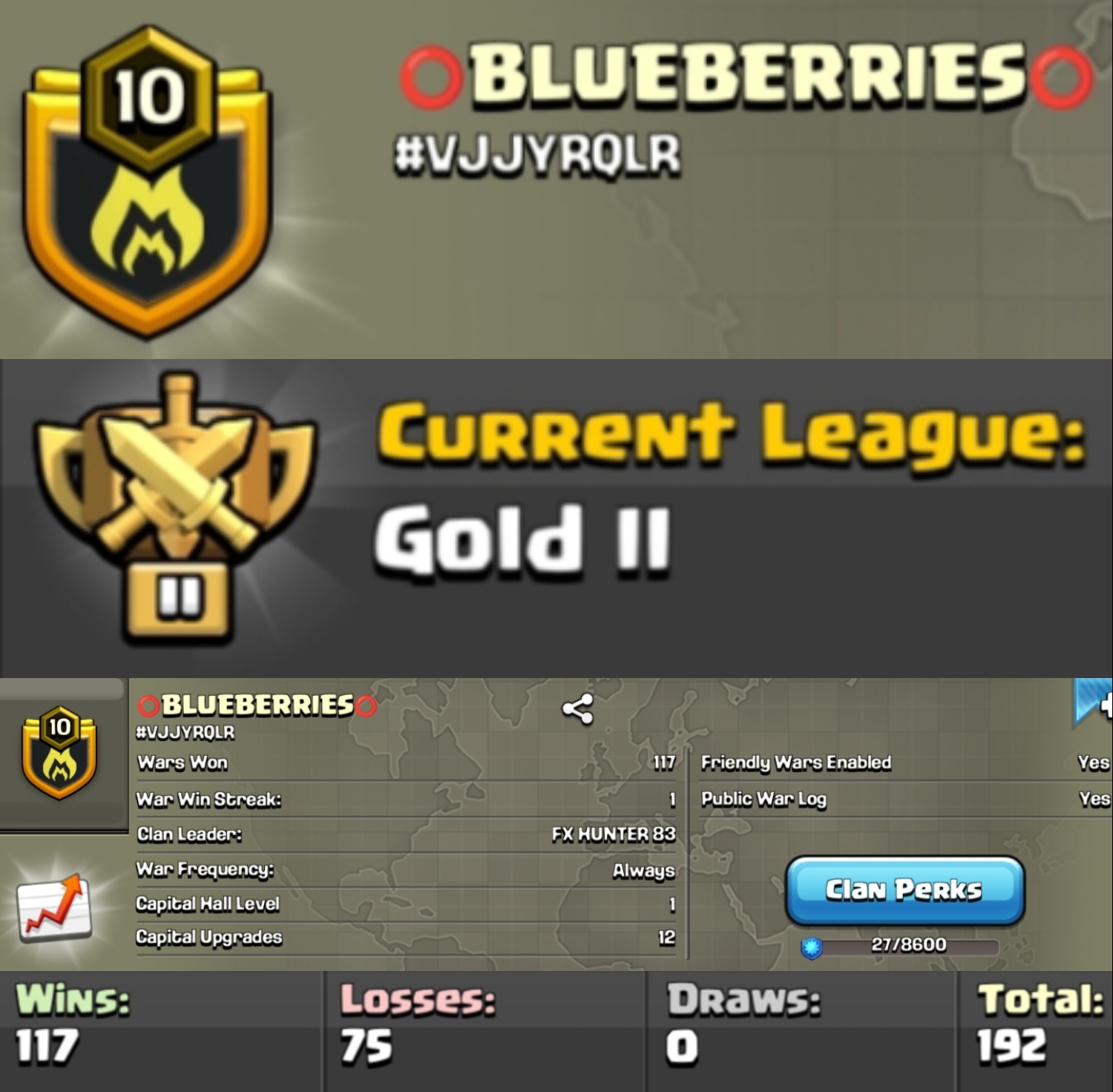 Level 10 clan || gold 2 || warlog 117-75 || name - BLUEBERRIES