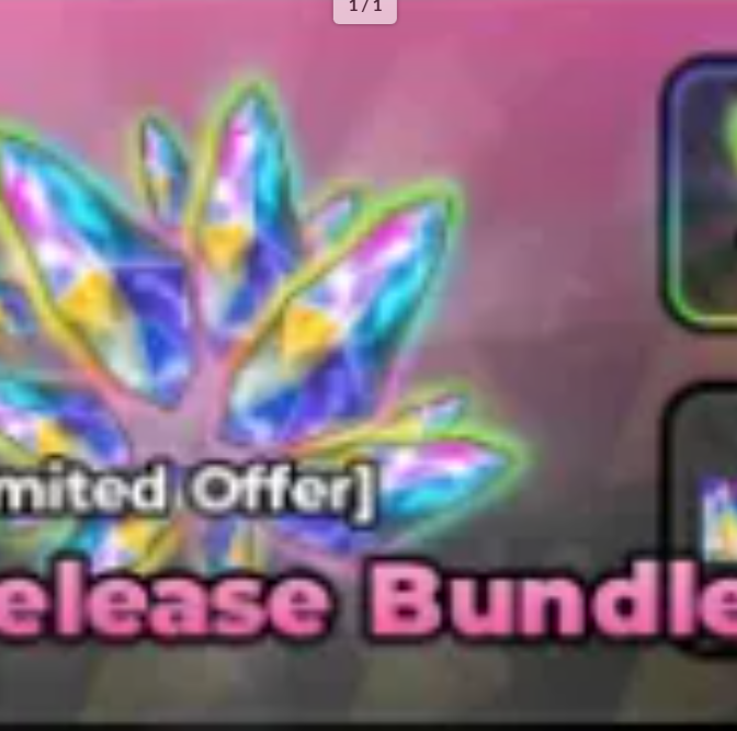 Release Bundle【999R】