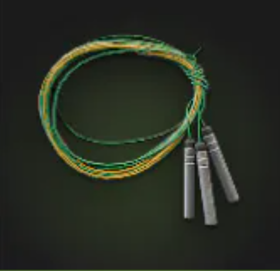 🔥DMZ MW4🔥 Detonators