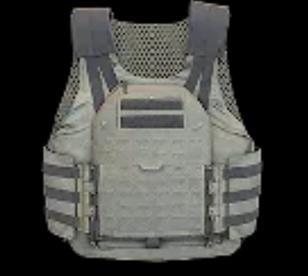 🔥 DMZ MW4🔥 2 Plate Armor Vest