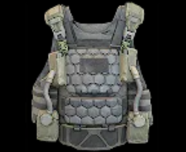 🔥 DMZ MW4🔥 2-Plate Ballistic Gel Vest