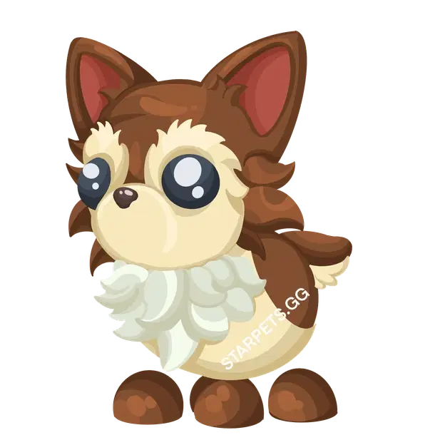 Chihuahua M