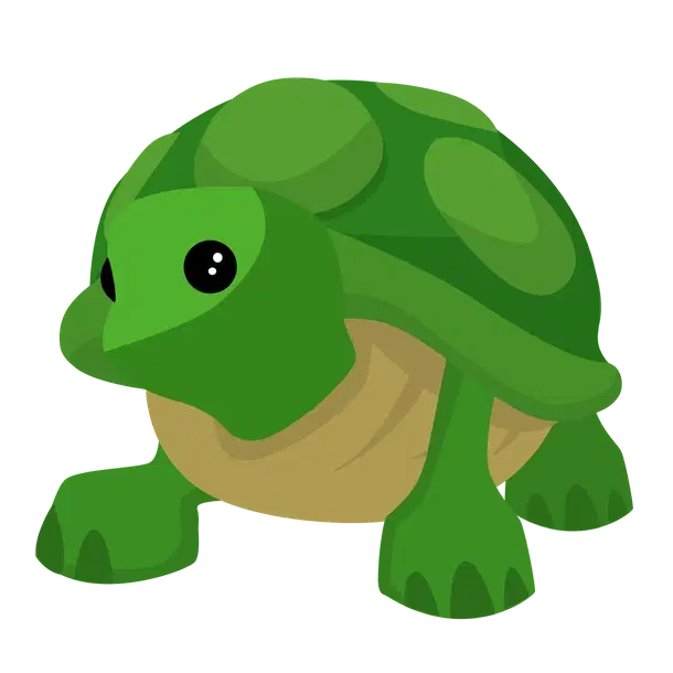 Turtle R