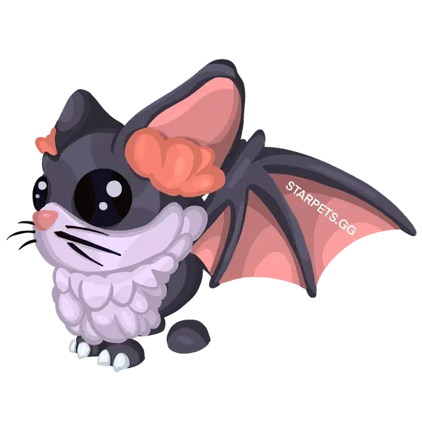 Kitty Bat M