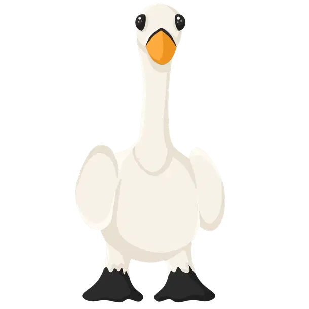 Swan NFR