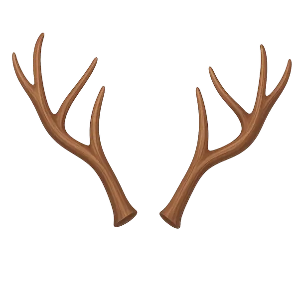 Reindeer Antlers