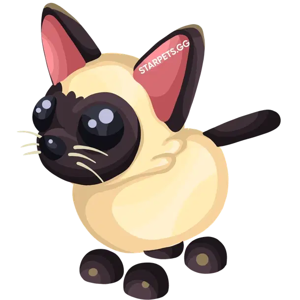 Siamese Cat NFR