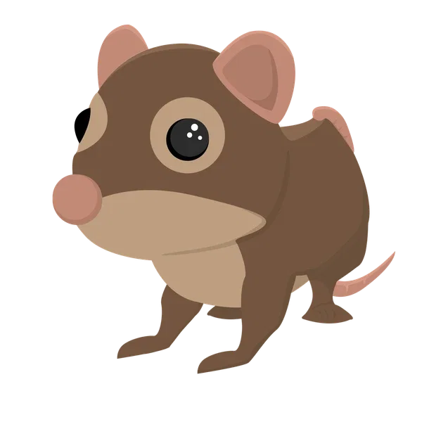 Shrew FR